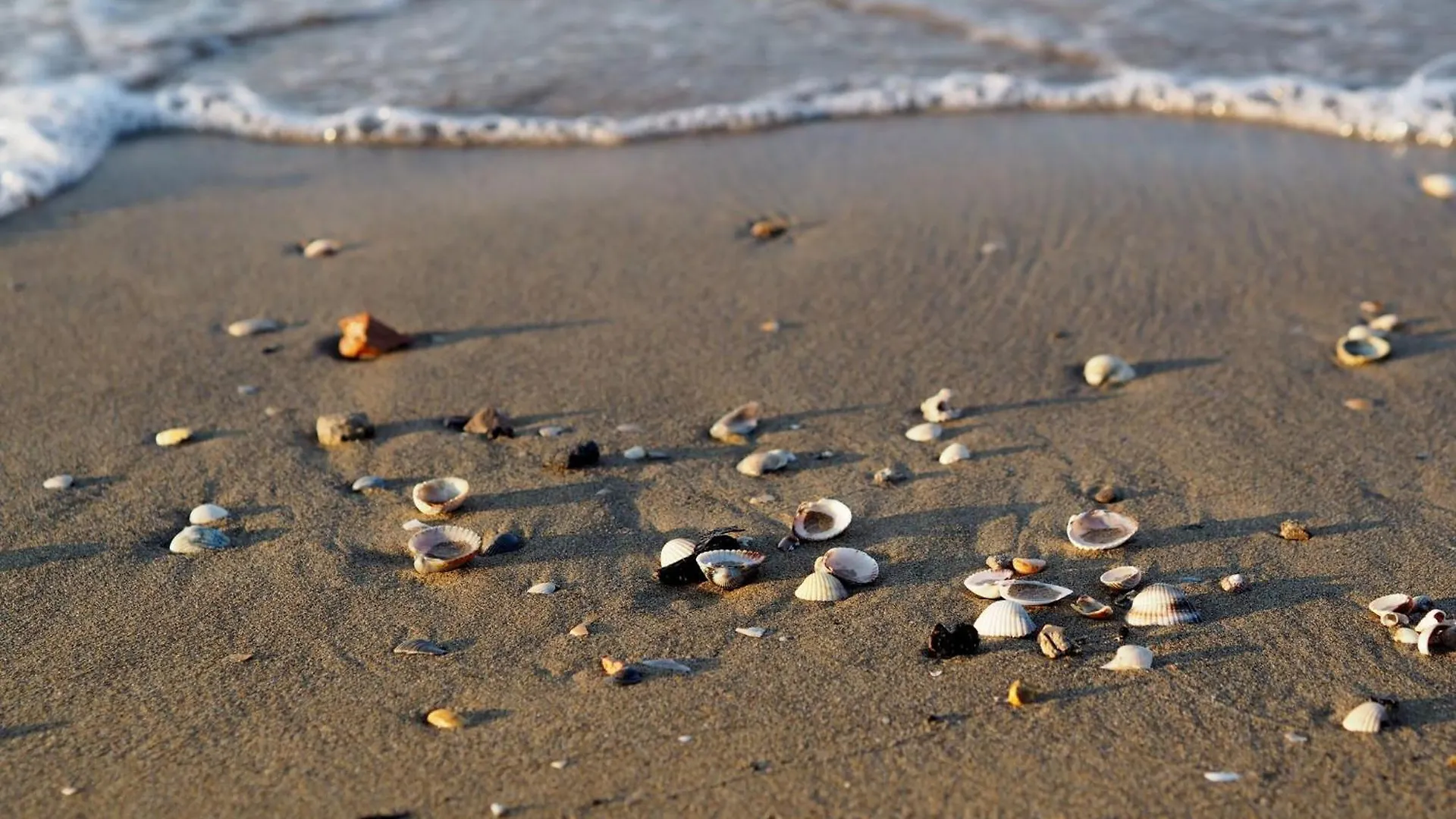 Appartamento Sunny Garden Retreat Near The Sea Bibione